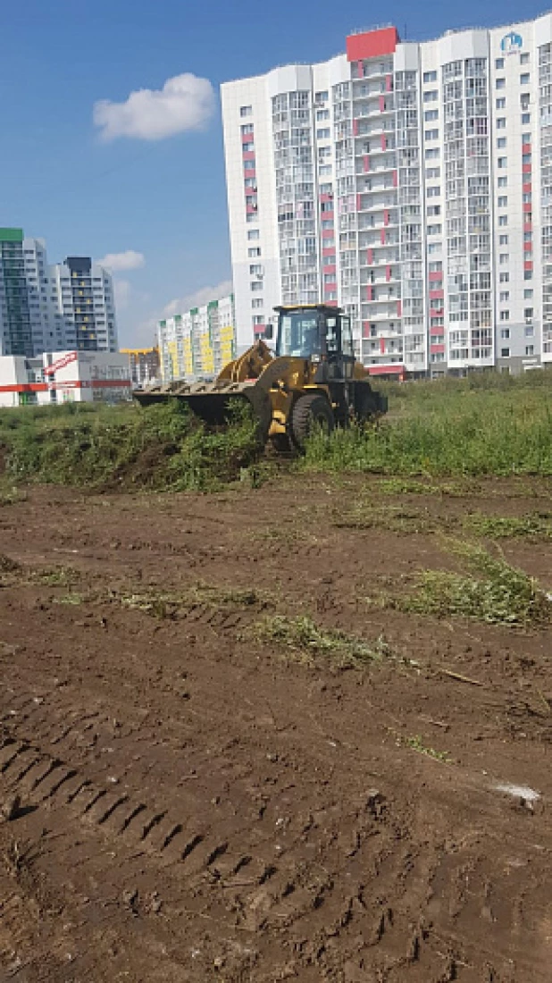 Обустройство зеленых зон в Барнауле.