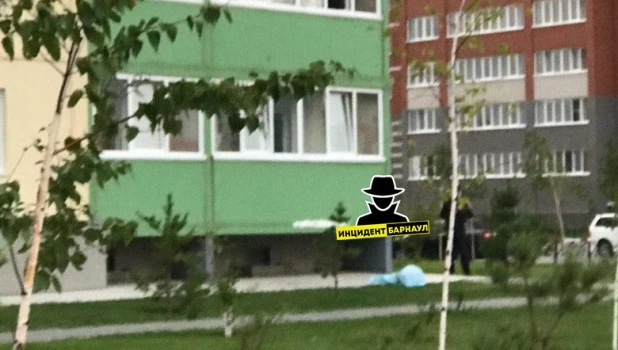 В Барнауле из окна выпал человек.