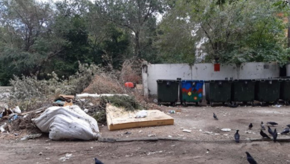 Горы мусора из Рубцовска не убрали, но и обещанный режим ЧС не ввели