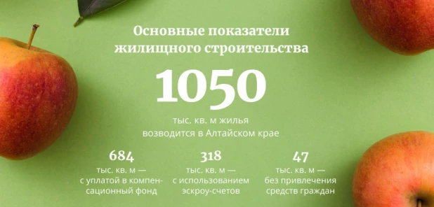 Инфографика.