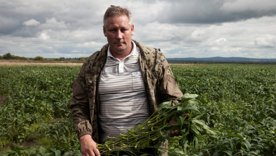 Алтайский агроном Александр Шишаев борется за урожайность в Приамурье.