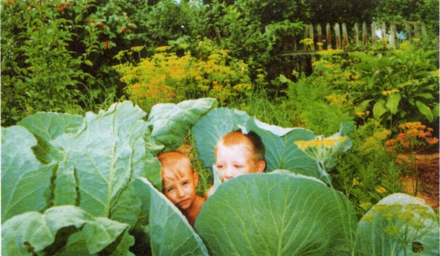 Литвинова Н.Н. Пятков Лог. Когда же нас найдут в капусте.