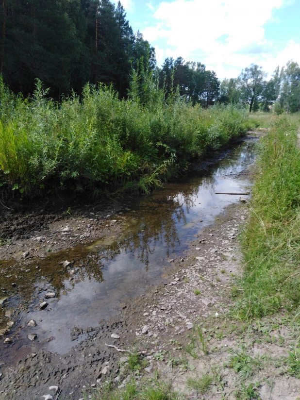 Халина Г. В.  Родные места.