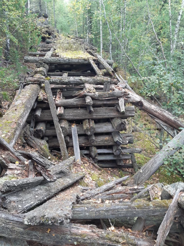 "Мертвая дорога" в красноярской тайге.