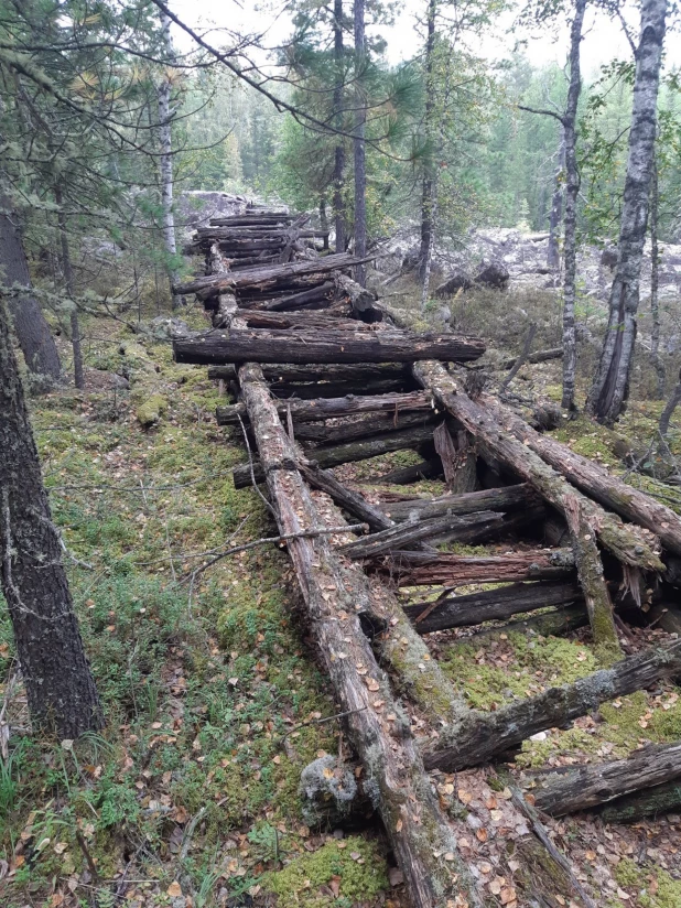 "Мертвая дорога" в красноярской тайге.