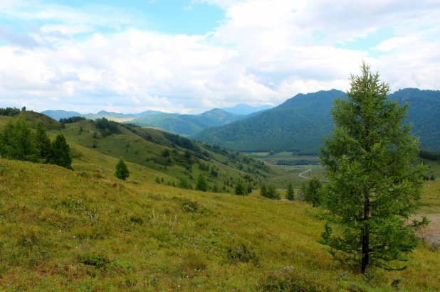 Археология в Чарышском районе.