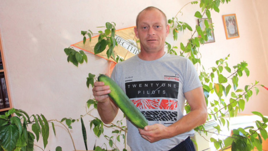 Громадные овощи выращивают жители Алтайского края на своих грядках. А вам слабо?