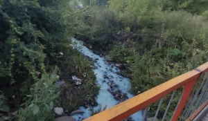 Река Пивоварка в Барнауле. Август 2020 года.