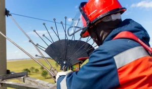 Установка  птицезащитных устройств.