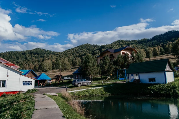 Маральник в Алтайском районе