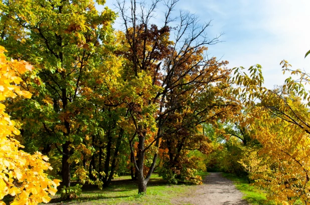 Осень в барнаульском дендрарии.