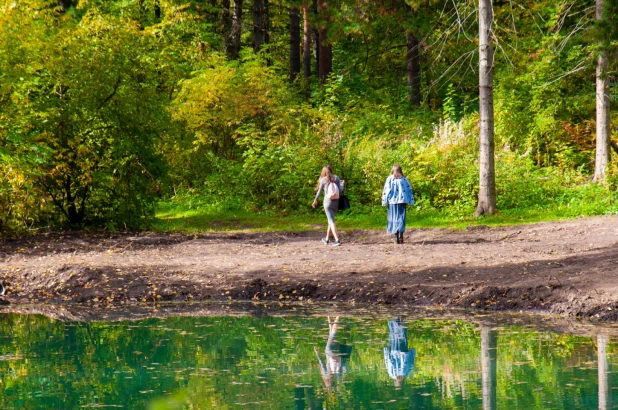 Осень в барнаульском дендрарии.