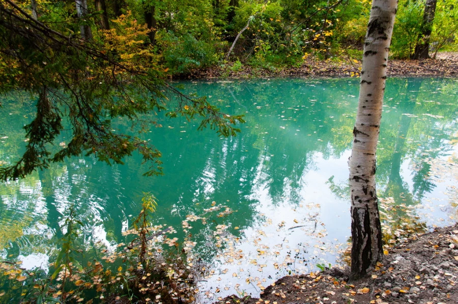 Осень в барнаульском дендрарии.