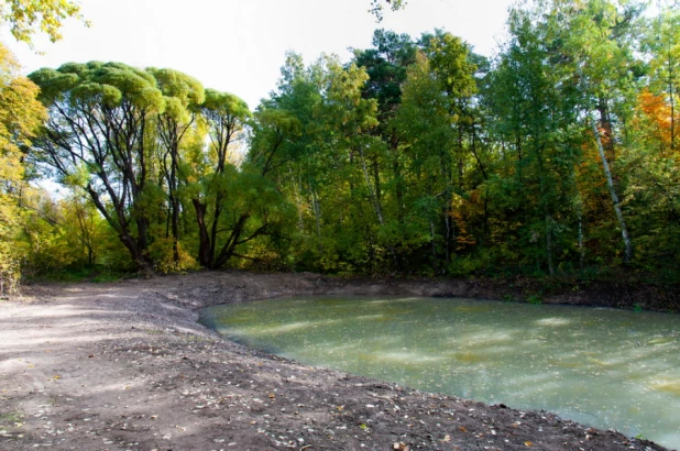 Осень в барнаульском дендрарии.