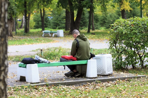 Благоустройство в парке «Изумрудный». 