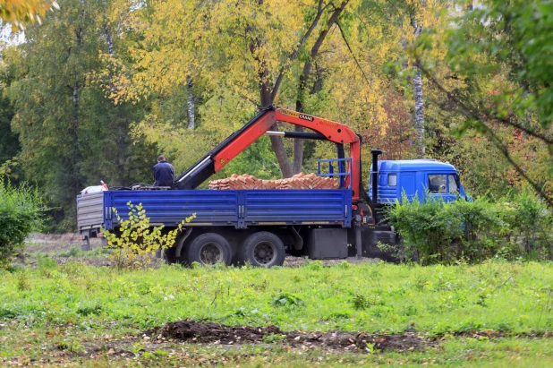 Благоустройство в парке «Изумрудный». 