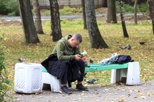 Благоустройство в парке «Изумрудный». 