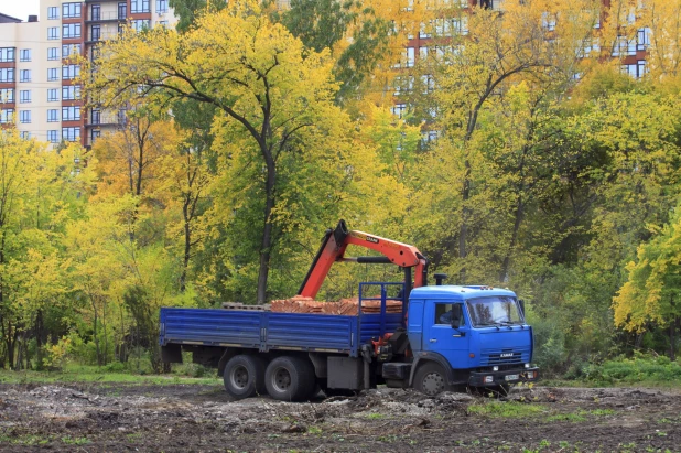 Благоустройство в парке «Изумрудный». 