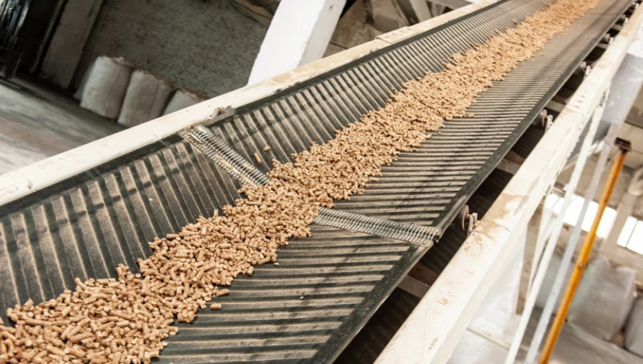 Производство топливных гранул (пеллет) в Заринске. 