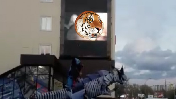 Порнографию транслировали на большом рекламном экране в Новосибирске.