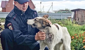 Омский полицейский спас собаку.