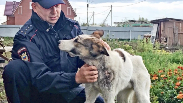 Омский полицейский спас собаку.