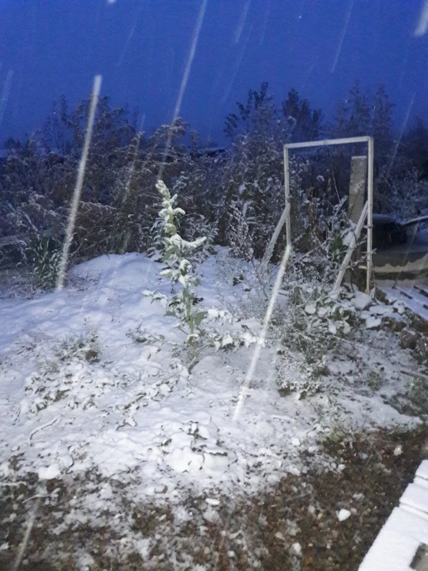 Снег накрыл Красноярск ночью 1 октября.