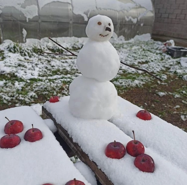 Снег накрыл Красноярск ночью 1 октября.