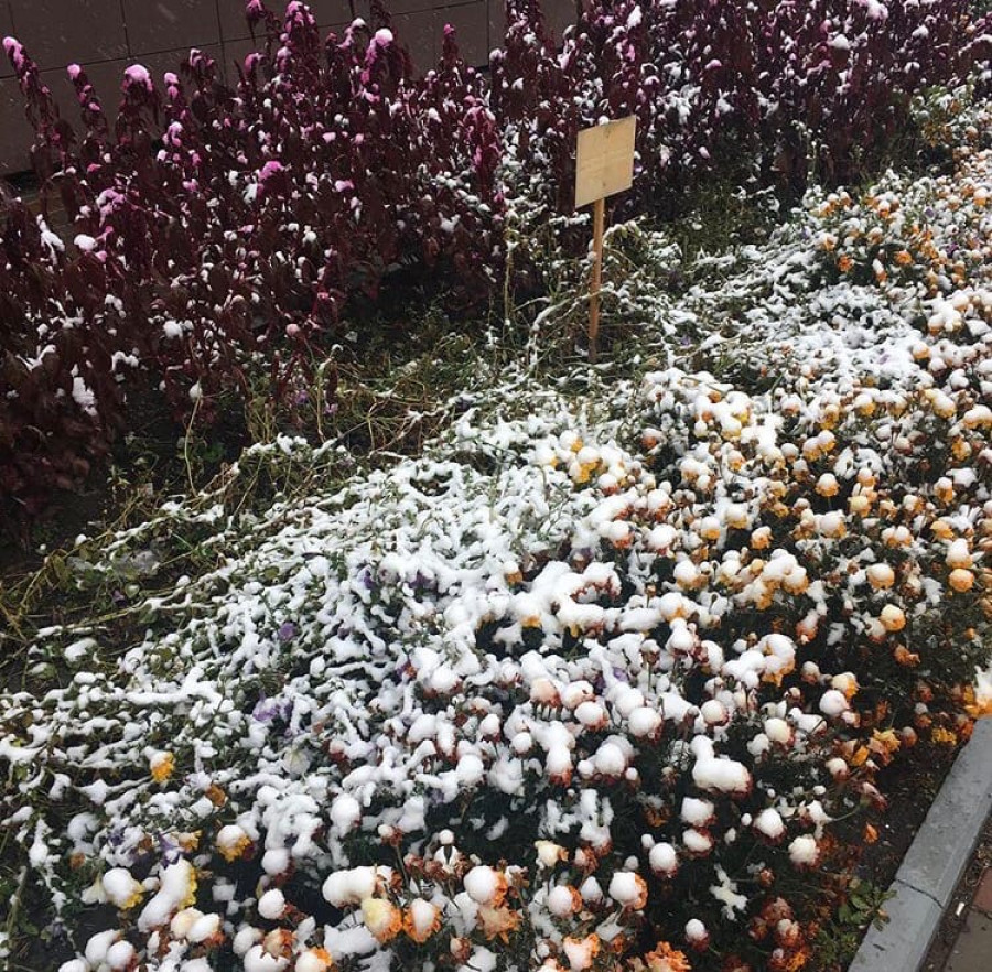 Снег накрыл Красноярск ночью 1 октября.