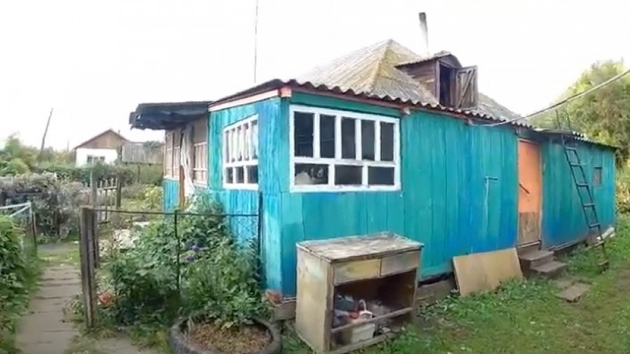 Новосибирец Алексей Вольнов и его жена теперь живут в деревне Ветелки Алейского района.