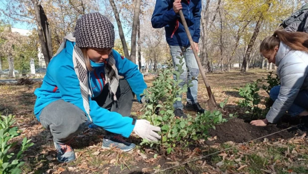 На субботник в парк "Изумрудный" пришли неравнодушные жители Барнаула.