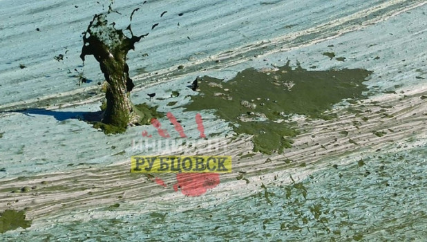 Озеро Горькое-Перешеечное в Егорьевском районе
