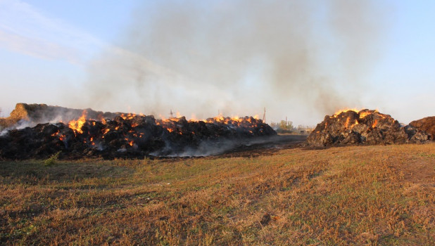 Школьники в Алтайском крае сожгли сено на миллион рублей.