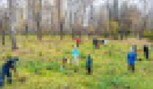 Холдинг «Алтайлес» взял шефство над участком парка «Изумрудный» в Барнауле