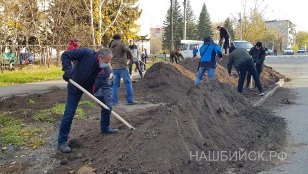 Глава Бийска копает газон.