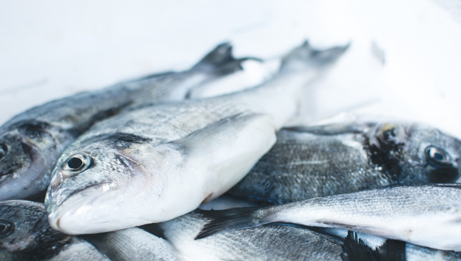 На Алтае за кражу более 360 кг рыбы и хранение пороха задержали четырех человек