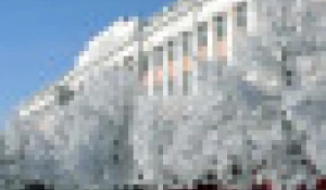  Алтайский государственный университет