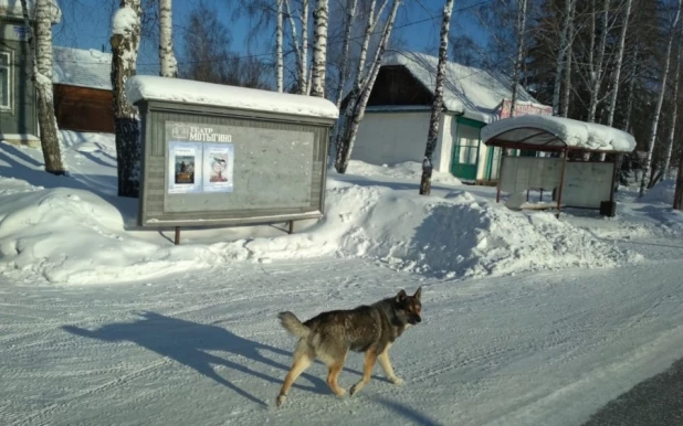 Драматический театр в Мотыгино.