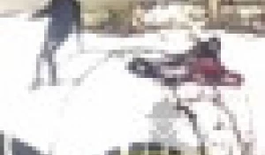 ДТП с санками в Барнауле.