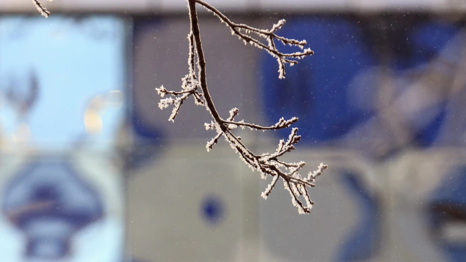 Зима пришла в Барнаул. 