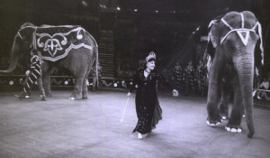 Тереза Дурова на арене цирка.