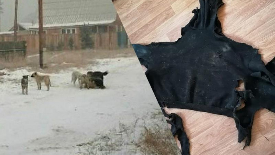 Псы-агрессоры растерзали в Сибири девушку и напали на ребенка