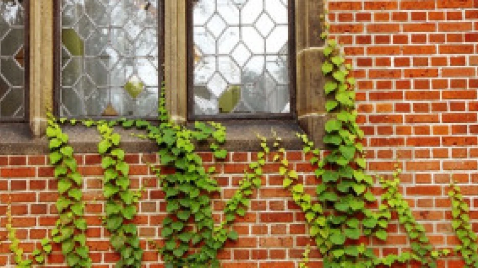 Квартиры в самых экологически чистых районов города.