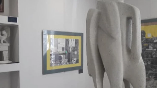 Выставка "Срез времени"