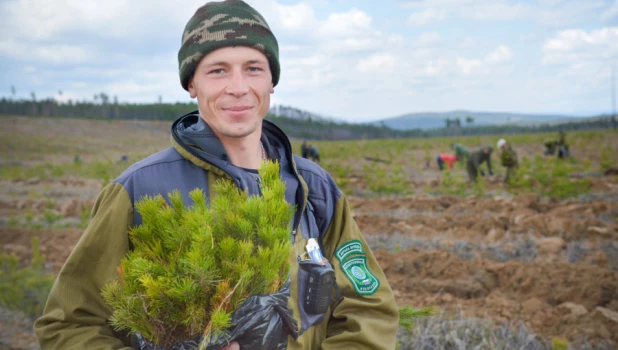 Госинспектор Сергей Красиков.