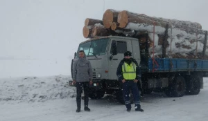 Сотрудники ДПС спасли лесовоз.