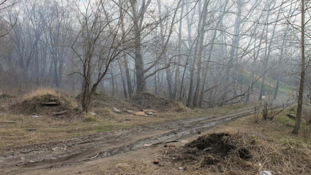 В парке "Юбилейный", Барнаул.