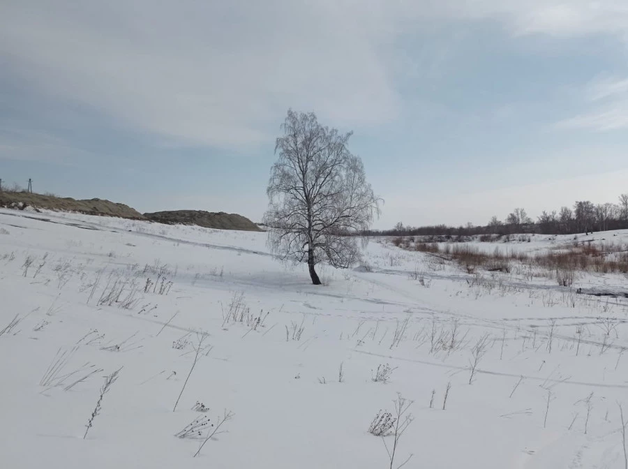 В Барнауле на озере Варежка в поселке Южный построят базу отдыха.