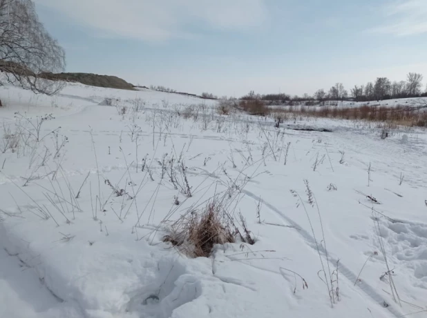 В Барнауле на озере Варежка в поселке Южный построят базу отдыха.