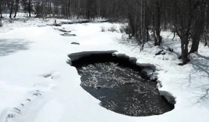 Река в Республике Алтай.